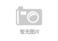 网红路集合,探寻网络红人背后的传奇人生